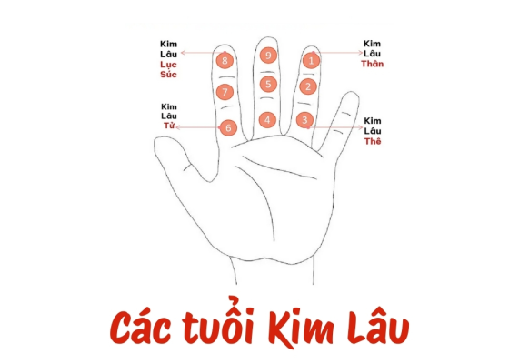 Kim Lâu là một trong những yếu tố phổ biến nhất khi xem tuổi làm nhà